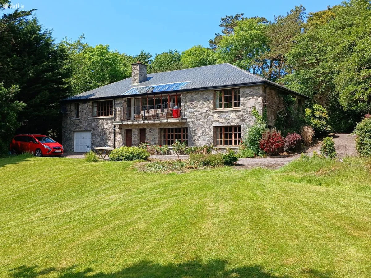 Natterjack, Caragh Lake, Killorglin, Co. Kerry
